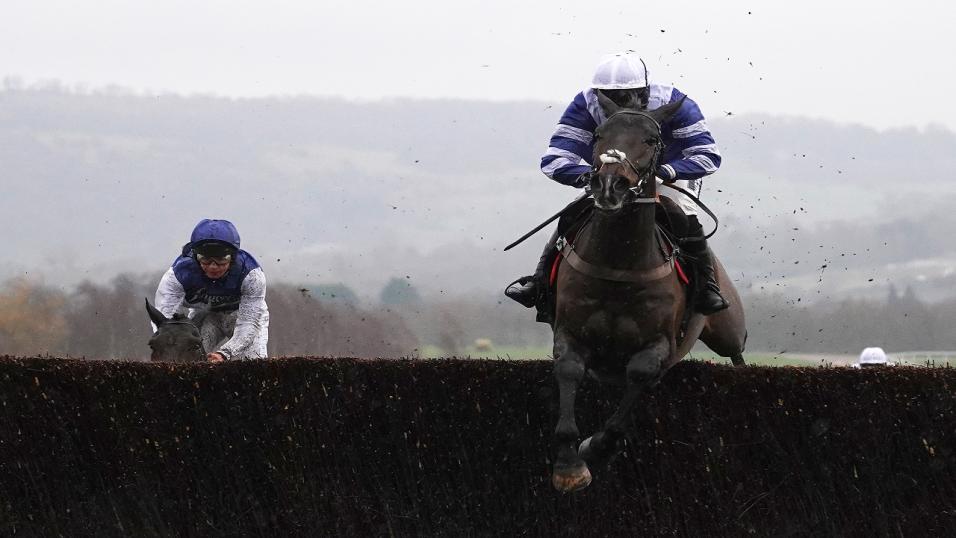 Paul Nicholls' Chaser Frodon